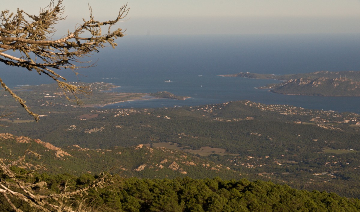 Korsika im Südosten, nicht weit von Bonifacio