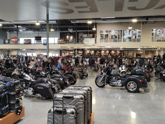 Harley Davidson in Las Vegas