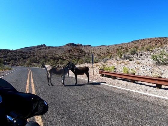 Route 66 (Arizona)