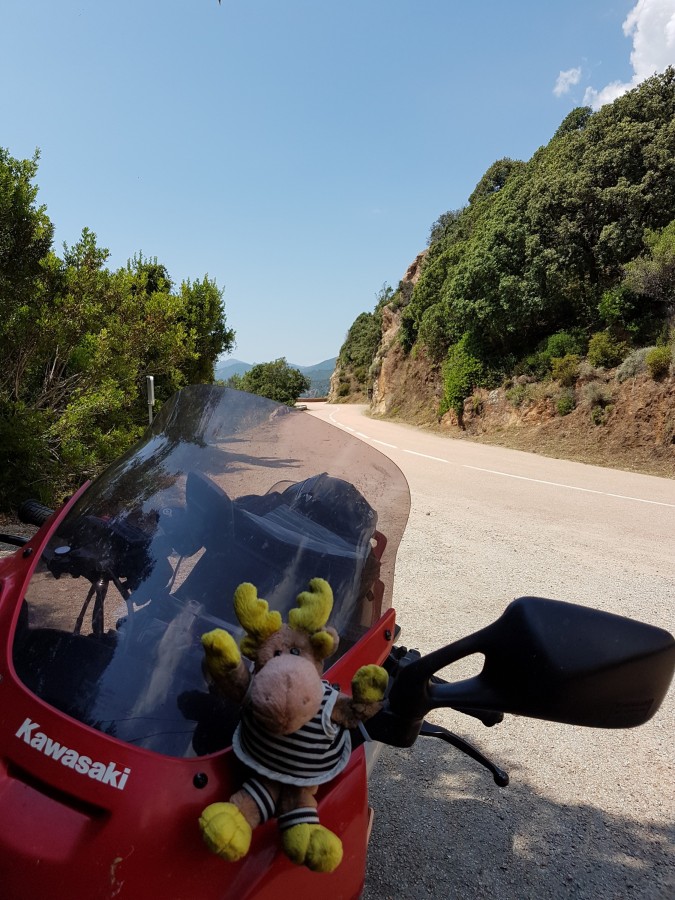 Korsika - Straße in etwas breiter auf dem Weg zum Col de Bavella